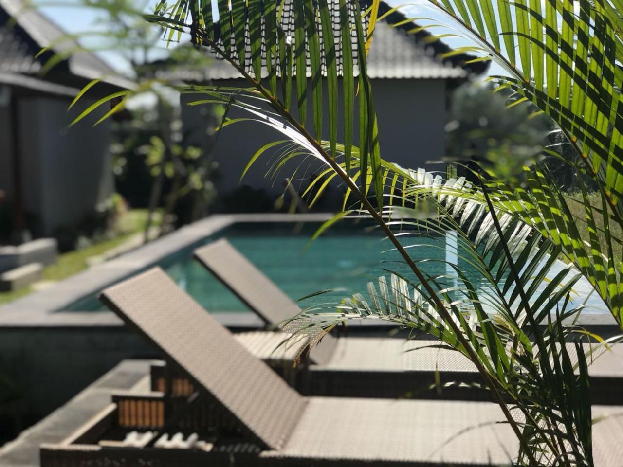 Paraiso Cottage Ubud Extérieur photo